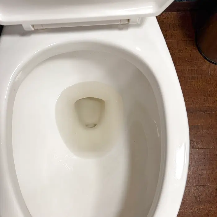 The same toilet bowl with the rim staining removed after cleaning